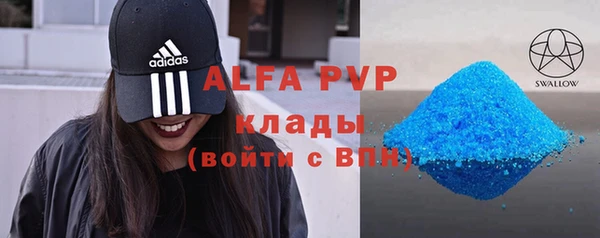 индика Узловая