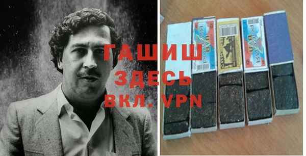 шишки Удомля